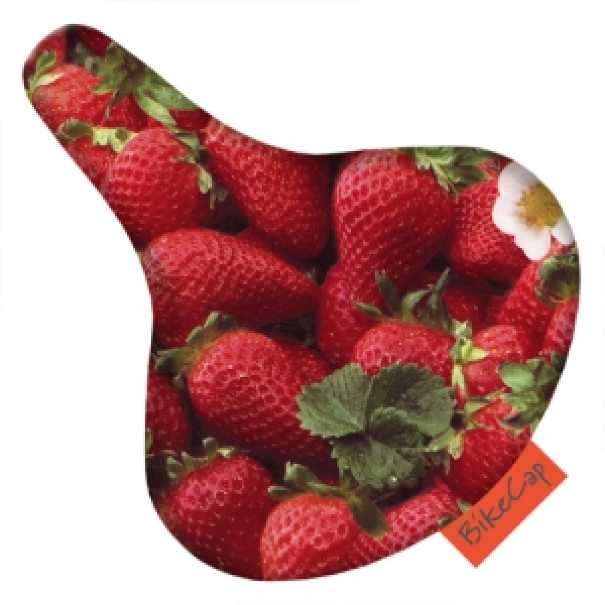 Erdbeer-Variationen Sattelschutz
