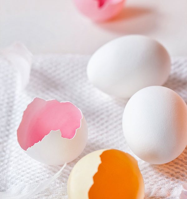 Eierschalen und Federn arrangiert als Deko zur Torte zu Ostern