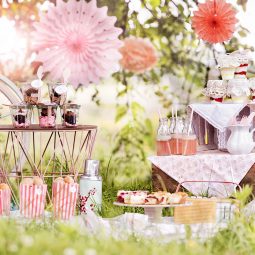 Rezept und Ideen für Picknick mit Kuchen und Torte