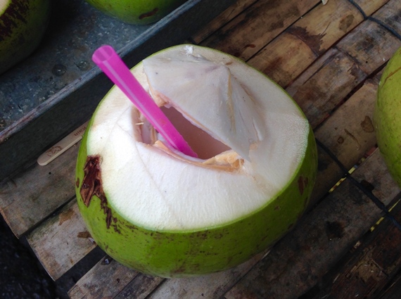 Kokoswasser kommt aus der grünen, unreifen Kokosnuss 