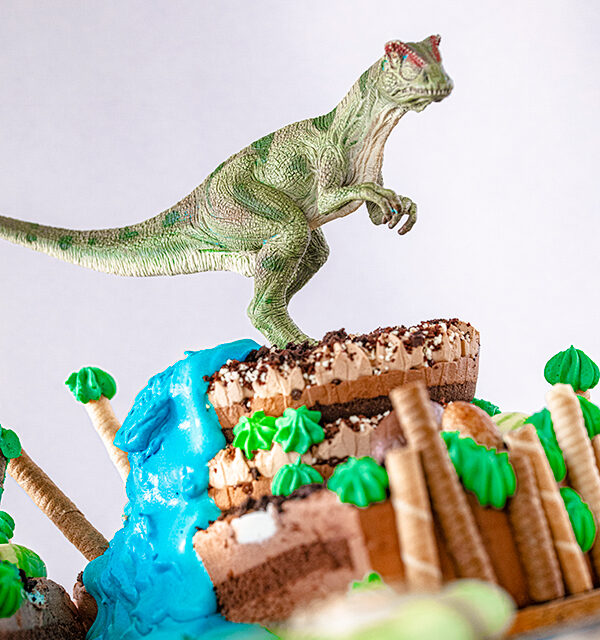 Dino-Torte einfach gemacht! 24
